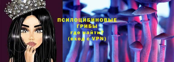 скорость Бородино