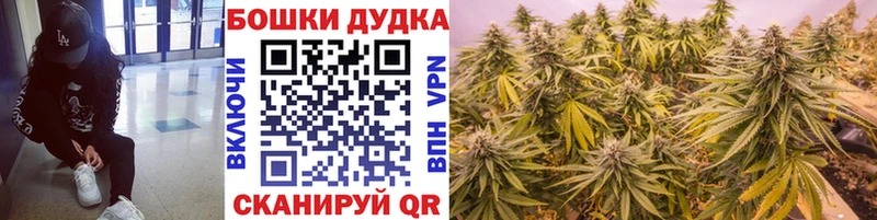 Купить где  Иваново  МАРИХУАНА сатива 
